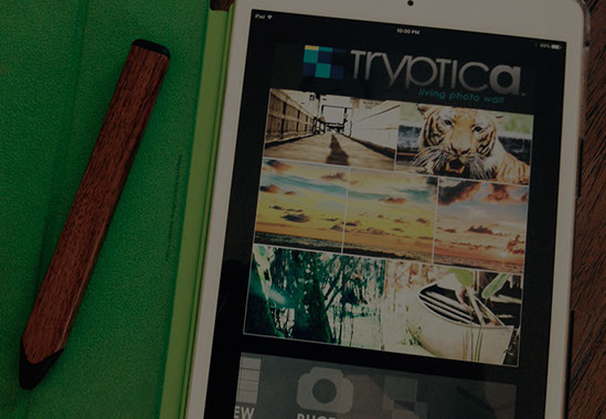 Home [tryptica.com]